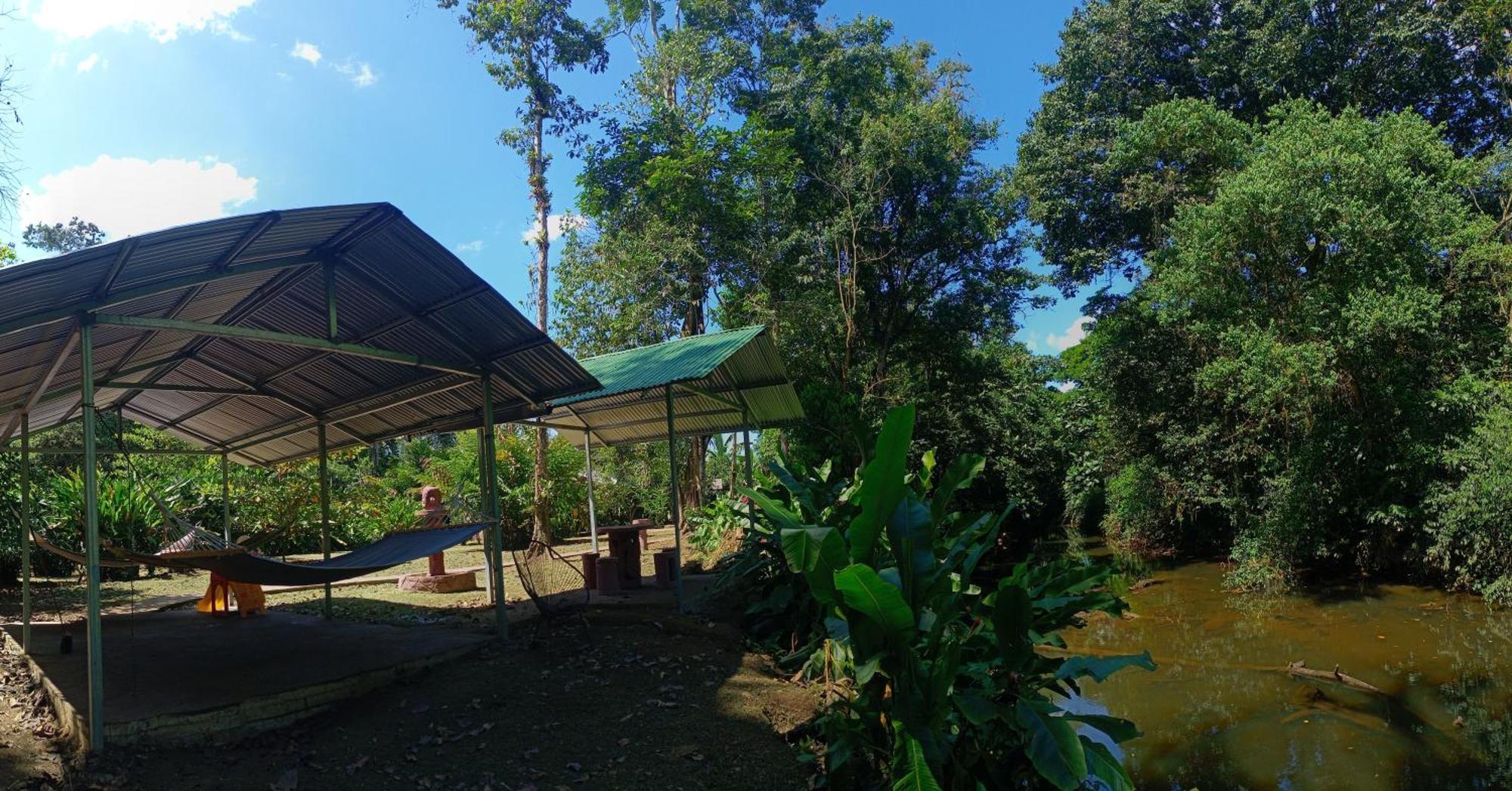 Finca La Paz Puerto Viejo de Sarapiqui Esterno foto