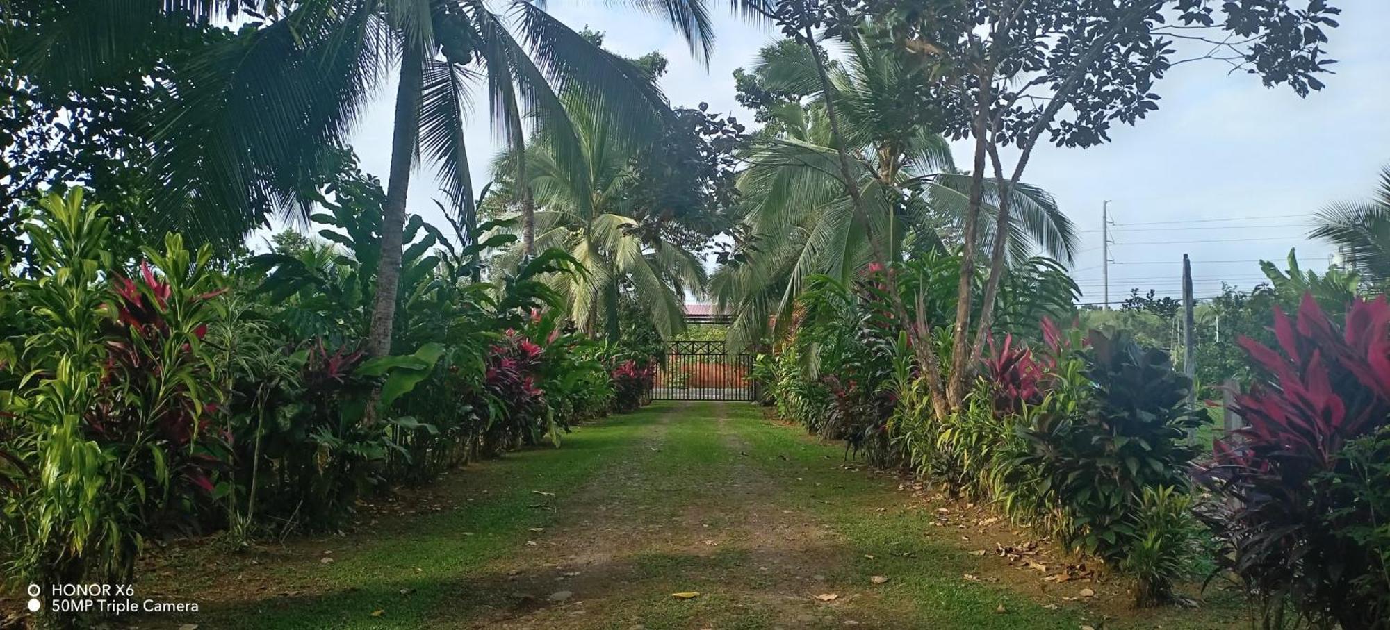 Finca La Paz Puerto Viejo de Sarapiqui Esterno foto